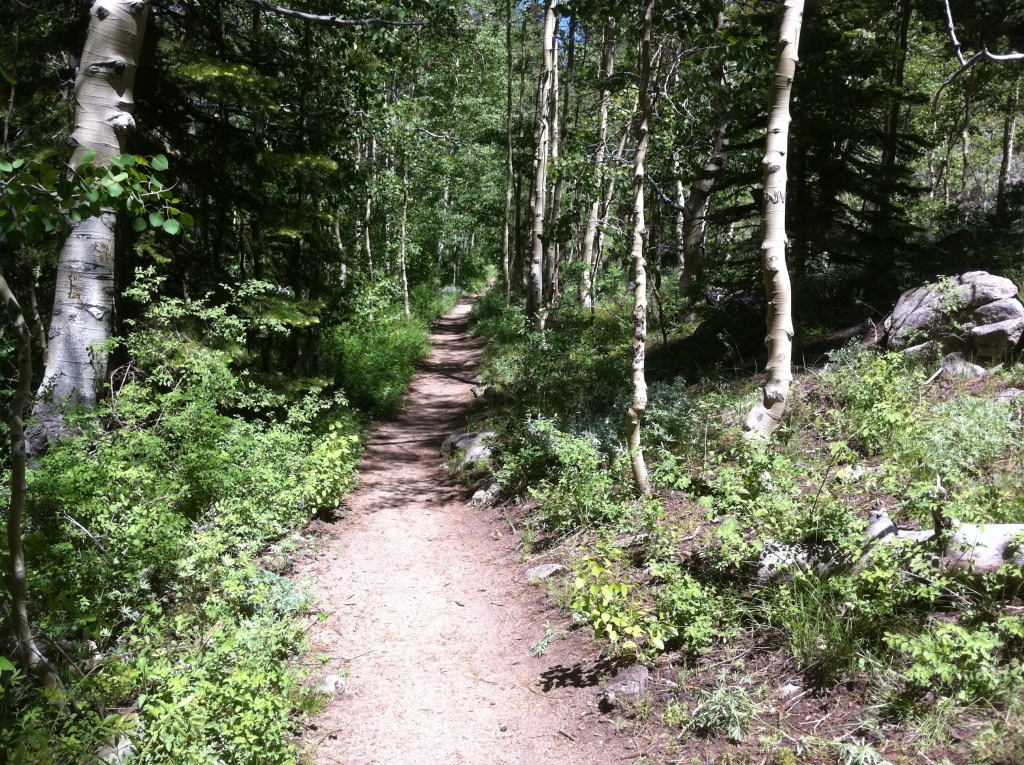 Trails and Hiking in Northern Nevada