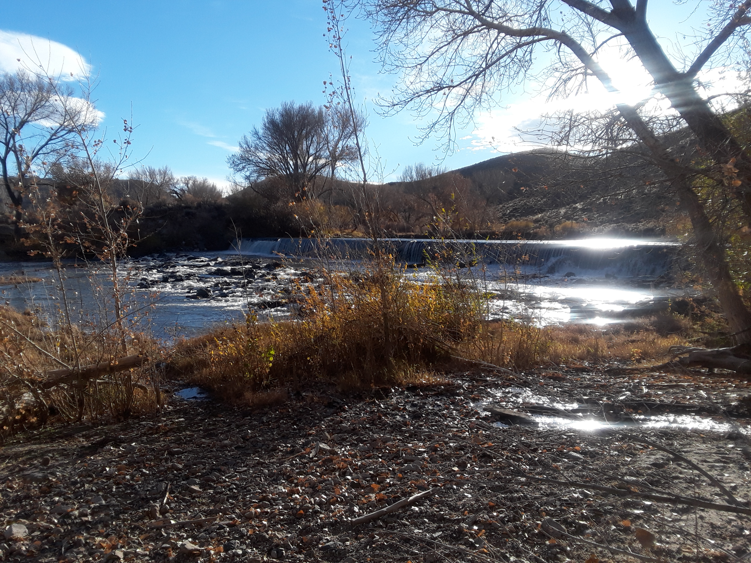 Carson River Park Trail-Easy Hike in Carson City