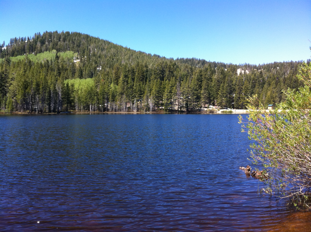 Easy Access Fishing Spots in Northern Nevada